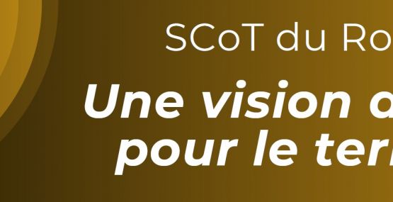 SCot DU ROANNAIS - Réunions publiques