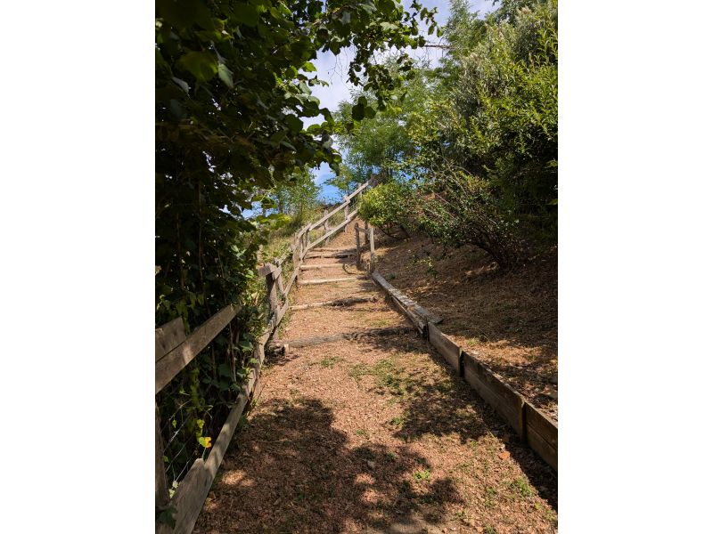 chemin-de-ronde4.jpg